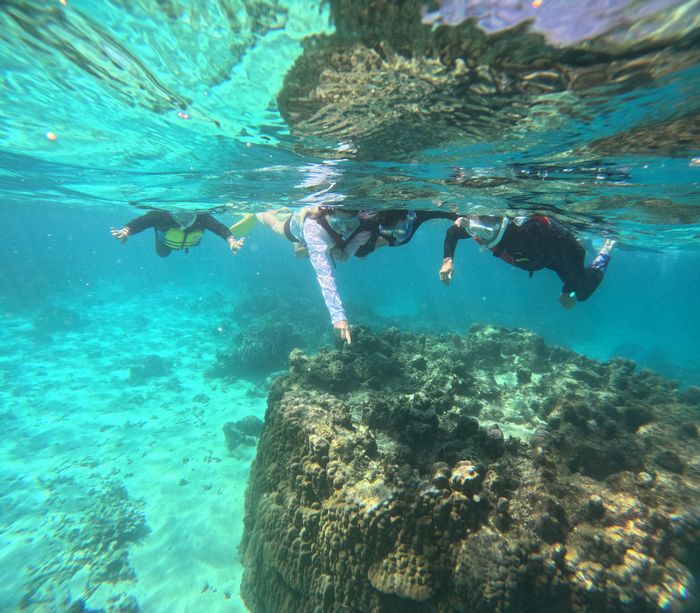 みーんなで楽しみました