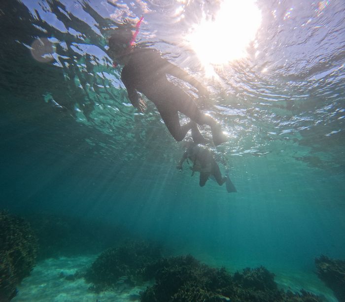 石垣島の海を楽しみました