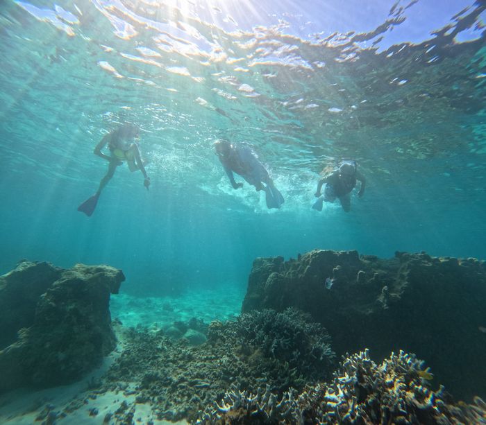 ゆったり楽しみます