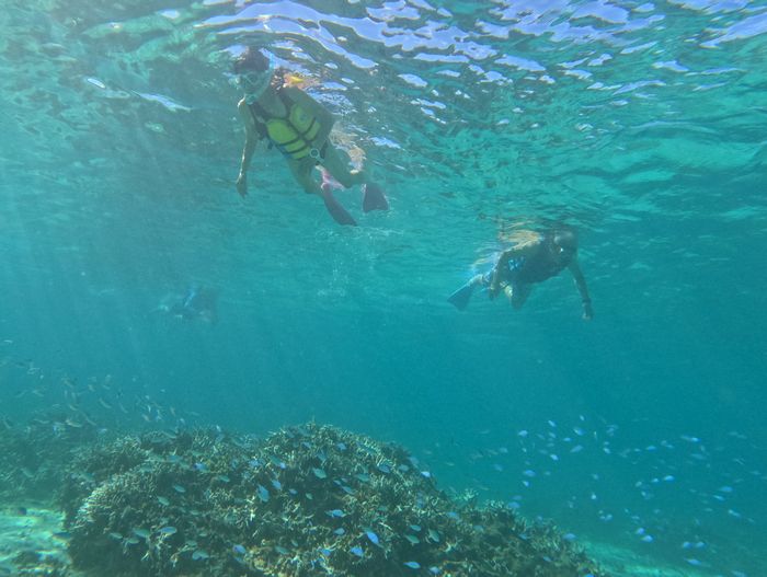 ベテランシュノーケラーです