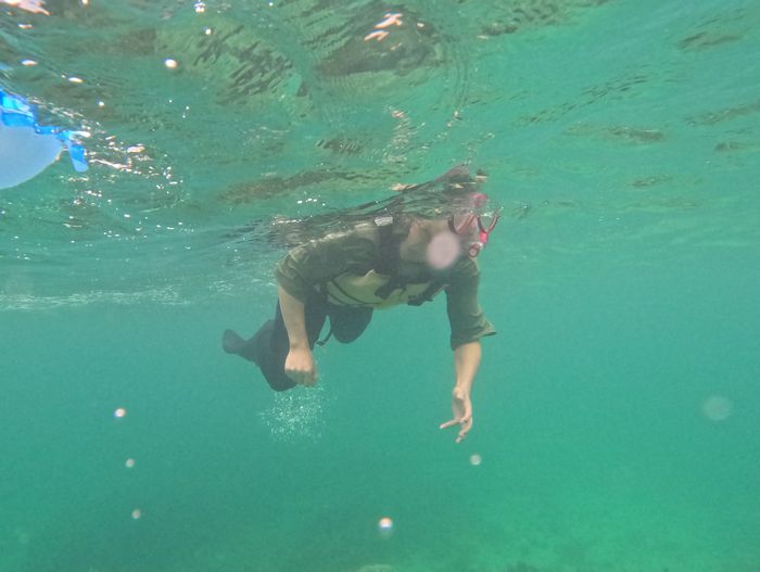 お父さんはパワフルに泳いで