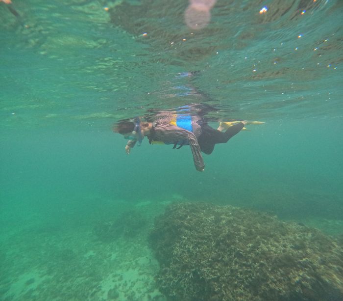 お母さんももくもくと泳ぎ回る♪