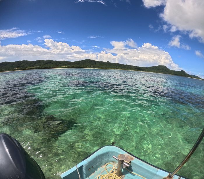 午後からは晴れてきました