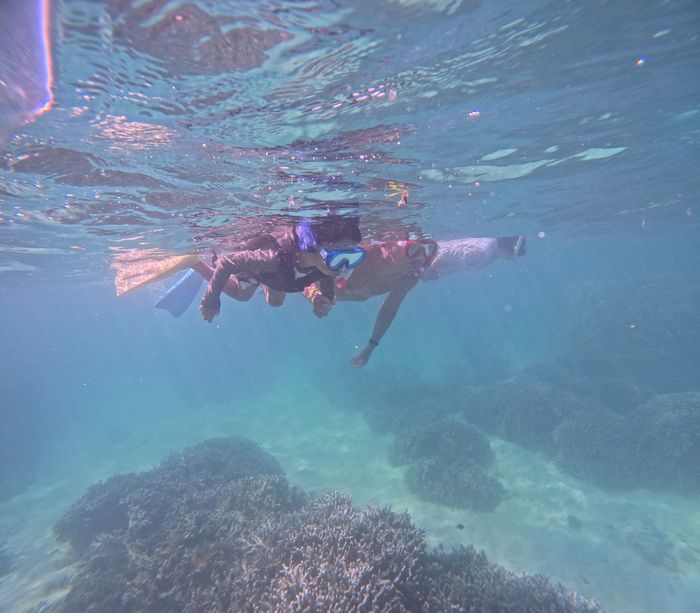 お父さんとお母さんと並んで泳ぐ