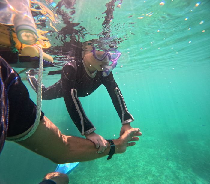 マスクデビュに挑戦