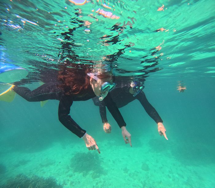 お父さんとお母さんも楽しんでいます。