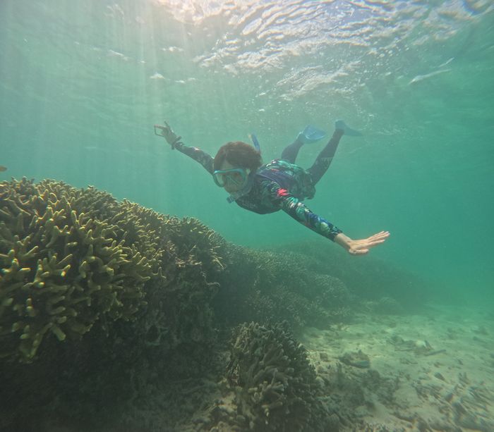 楽しそうに潜る♪