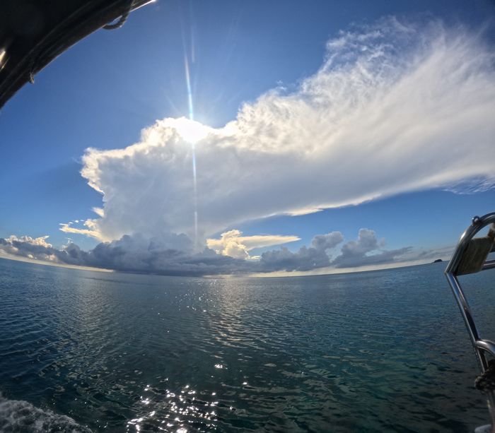 夏雲、太陽を遮る