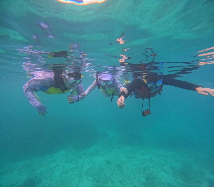 家族でシュノーケリング
