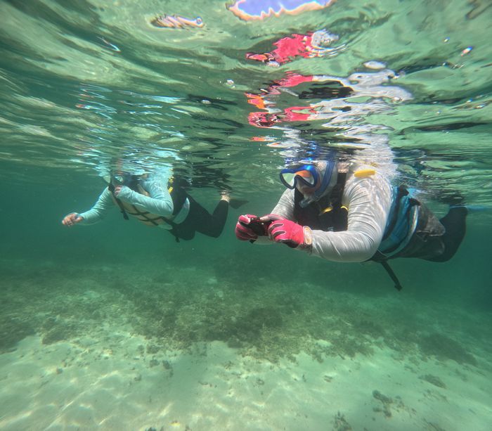 すいすい泳ぎ始める