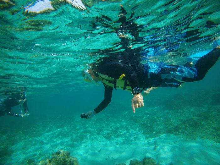 穏やかな海を喜ぶ旦那さん