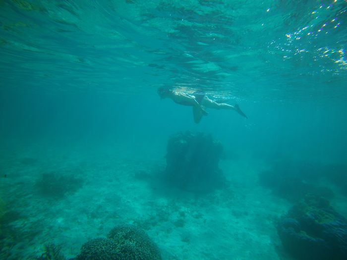 ラストスパートシュノーケリング