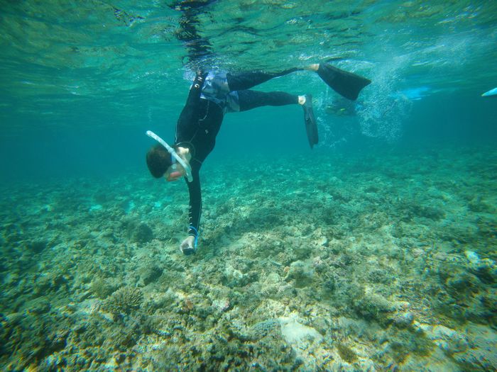 奥さん活発です