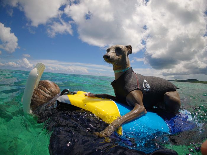 上にのって、休む
