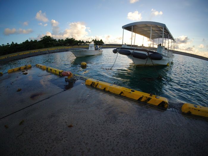 朝は超満潮です