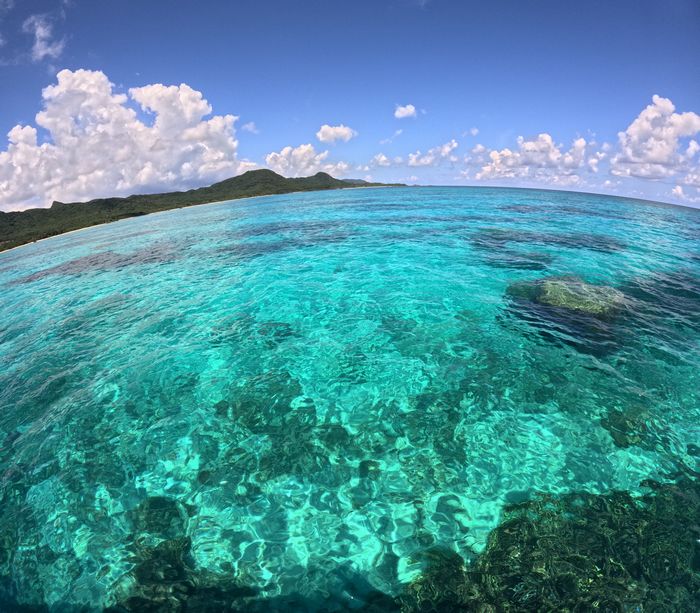 透明度アップです