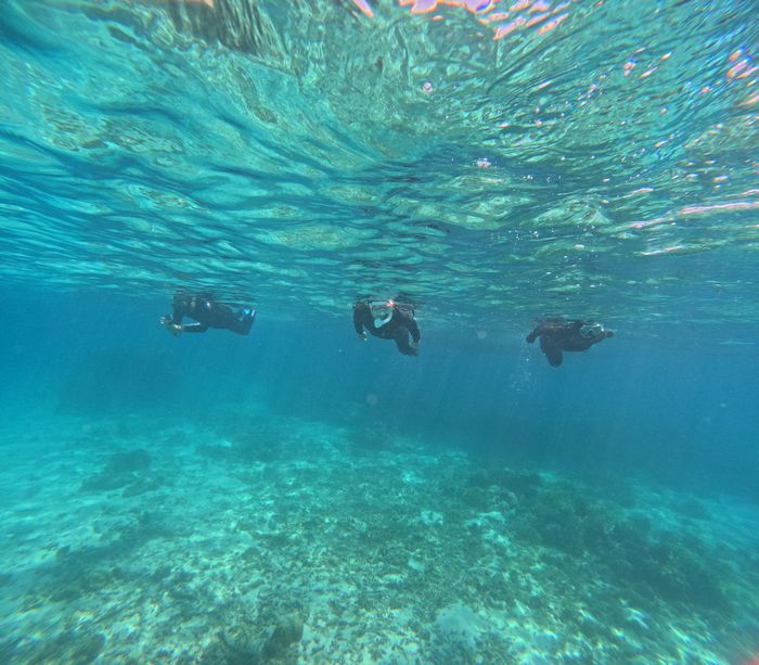 やはりベテラン