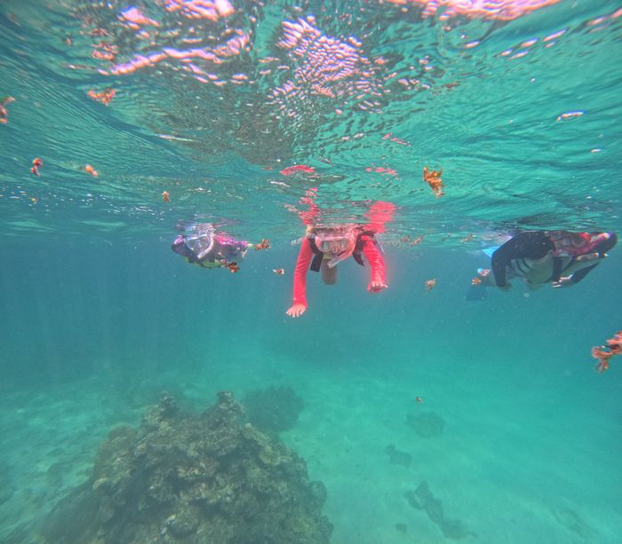 大人も一緒に泳ぐ♪