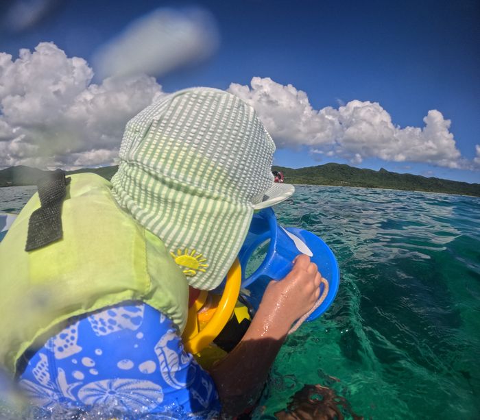 箱メガネに没頭です