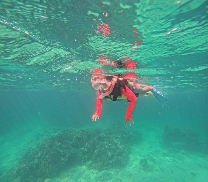 マスクデビュー、軽くクリア