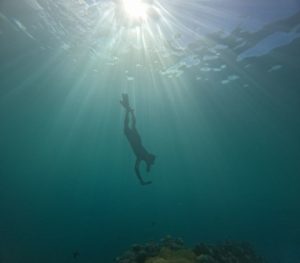 石垣島旅行、初日も最終日も方も楽しめる半日シュノーケリング！