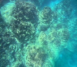 ただ、浮くだけで楽しめる！ベストコンディションをシュノーケリング！