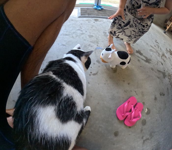 タマヘイとモー太郎