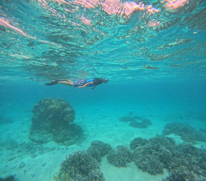 すいすい泳ぐお父さん