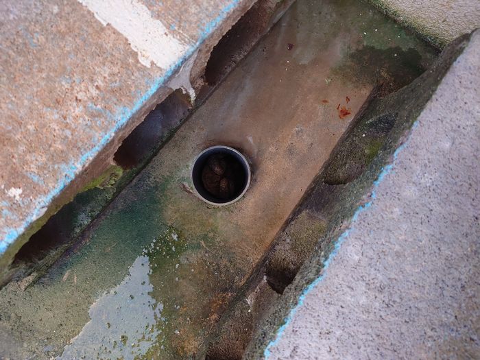 排水溝をみると