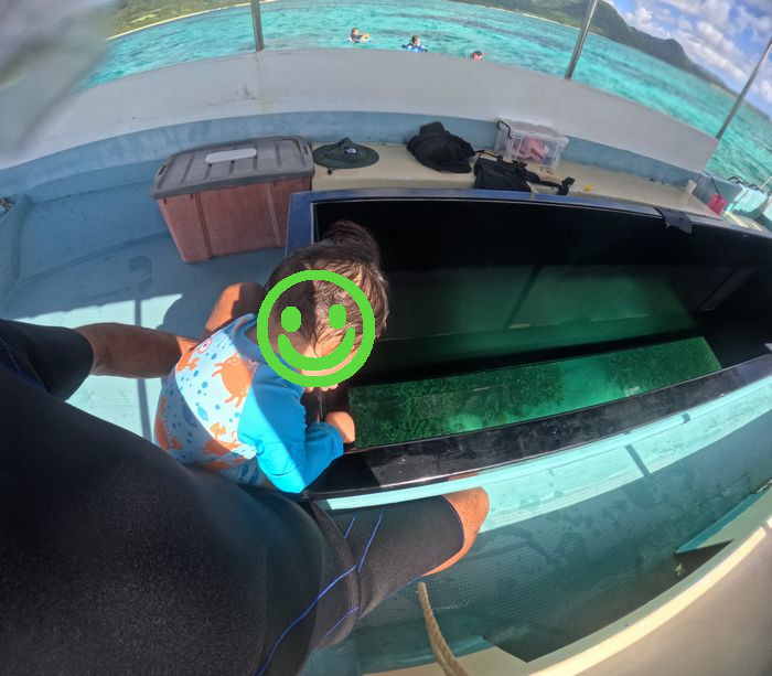 グラスボート上から楽しむ