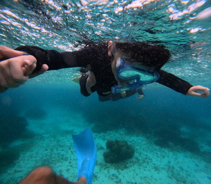 マスクデビューに挑戦