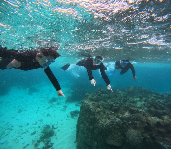 ニモも見れました