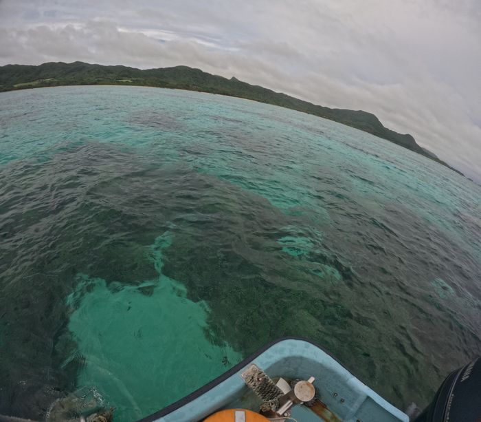 ポイントは大丈夫です