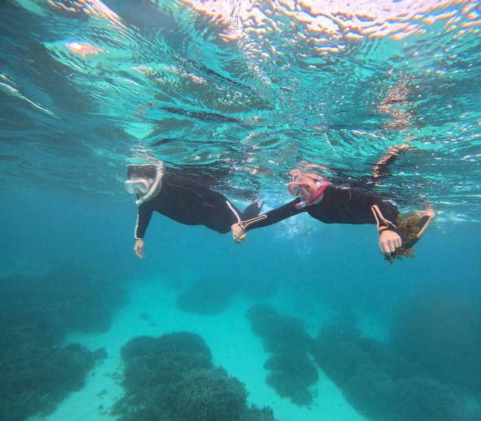 初めてでも楽しめる