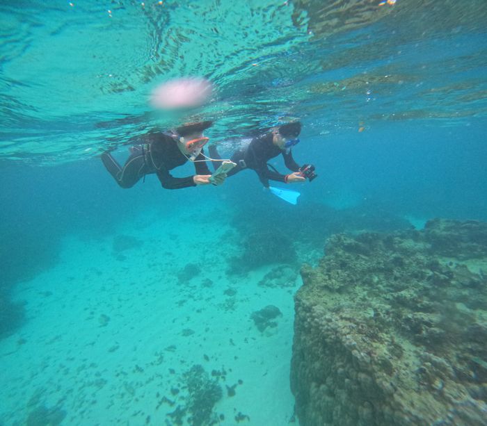 初めてでも写真撮影