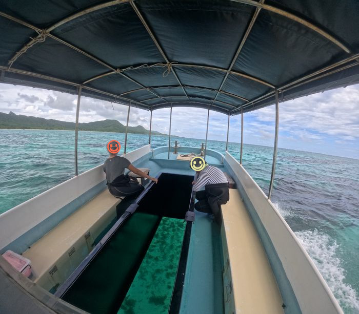 71歳74歳、シニアシュノーケリング