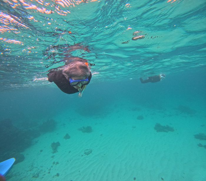 透明度の高い海を楽しみました