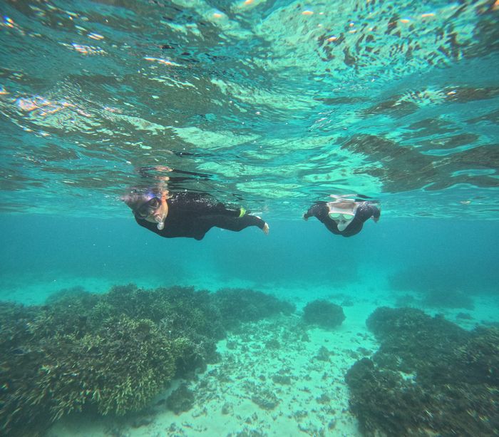 やはりベテラン