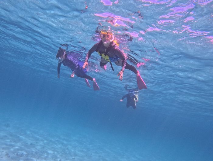 リピーターS木さんご家族です