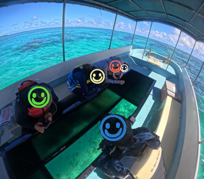 グラスボートで水中世界を楽しむ