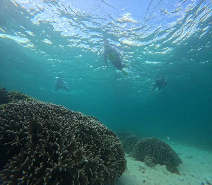 リピーターK野さんご家族