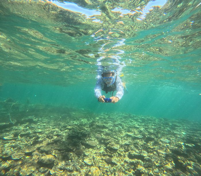 撮影をいそしむお父さん