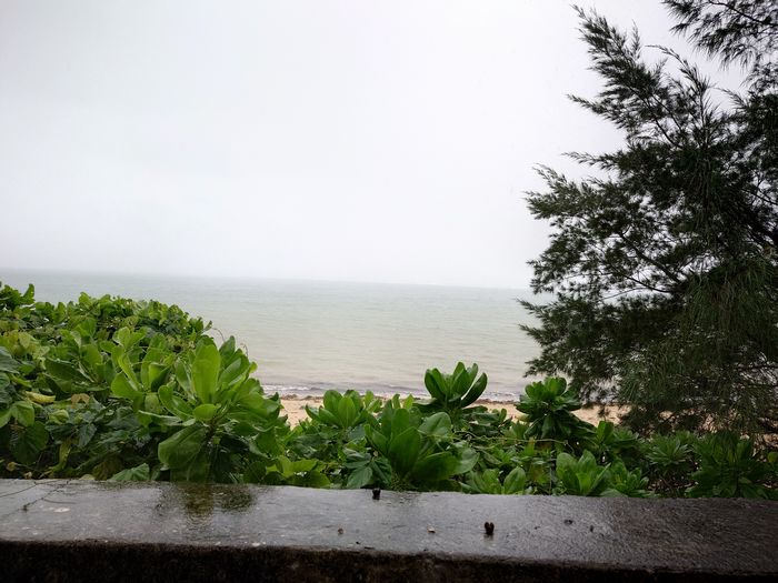 ブーメラン台風の中休み