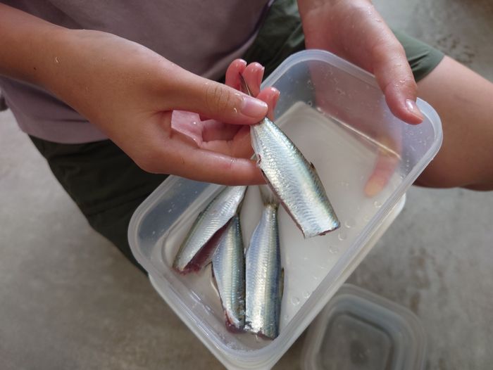 おすそわけのミジュン