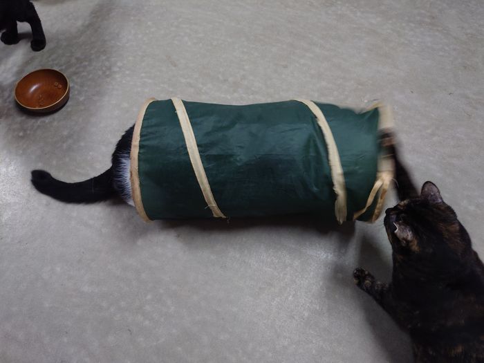 また小競り合いの始まり