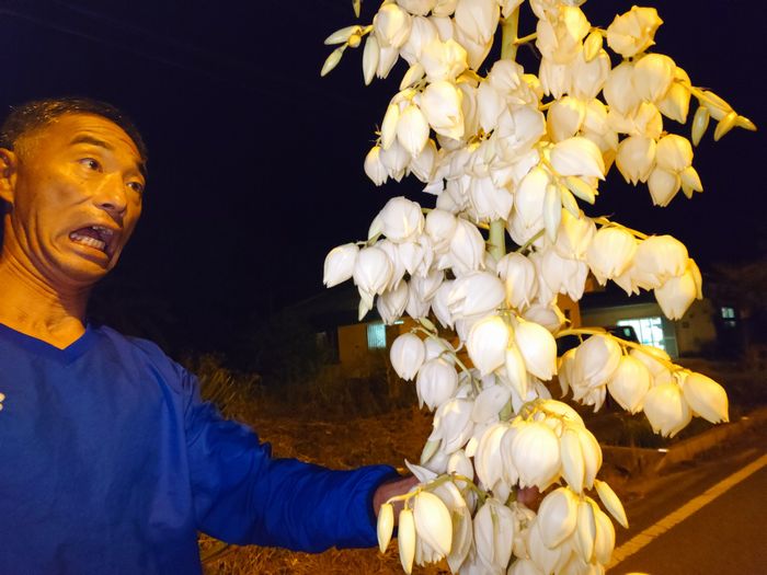 ん！折れたっ！！