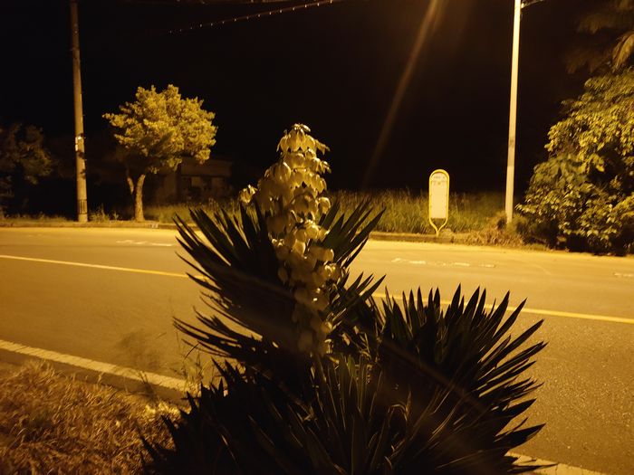 それっぽく、さしておきましょう！