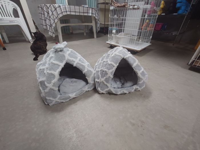 かまくらの登場