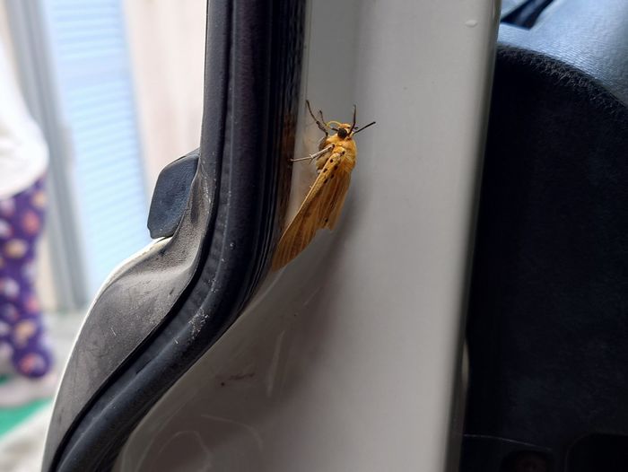 ドアのへりに移動して。。。