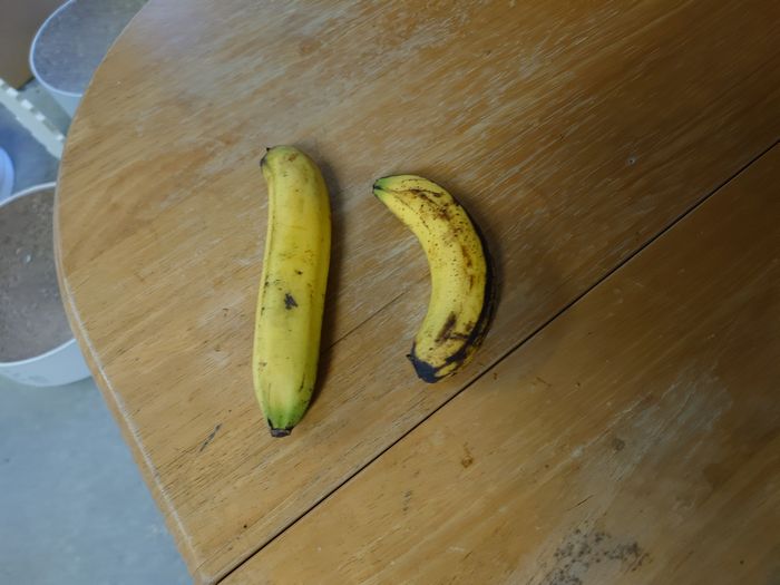 台湾バナナ、頂いて